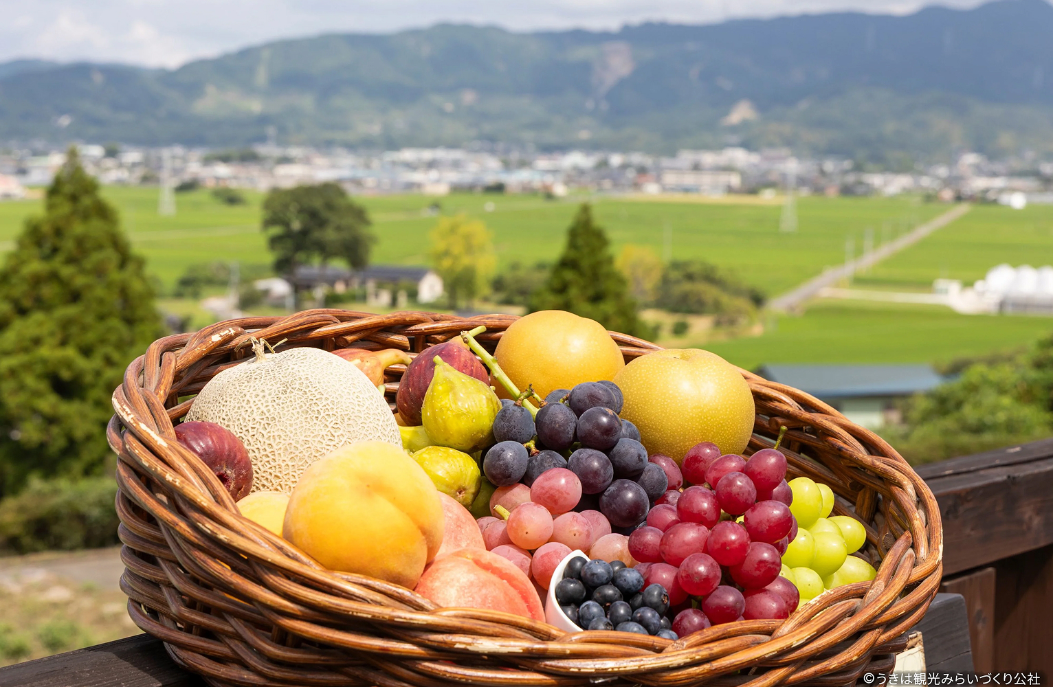 四季の果物狩り